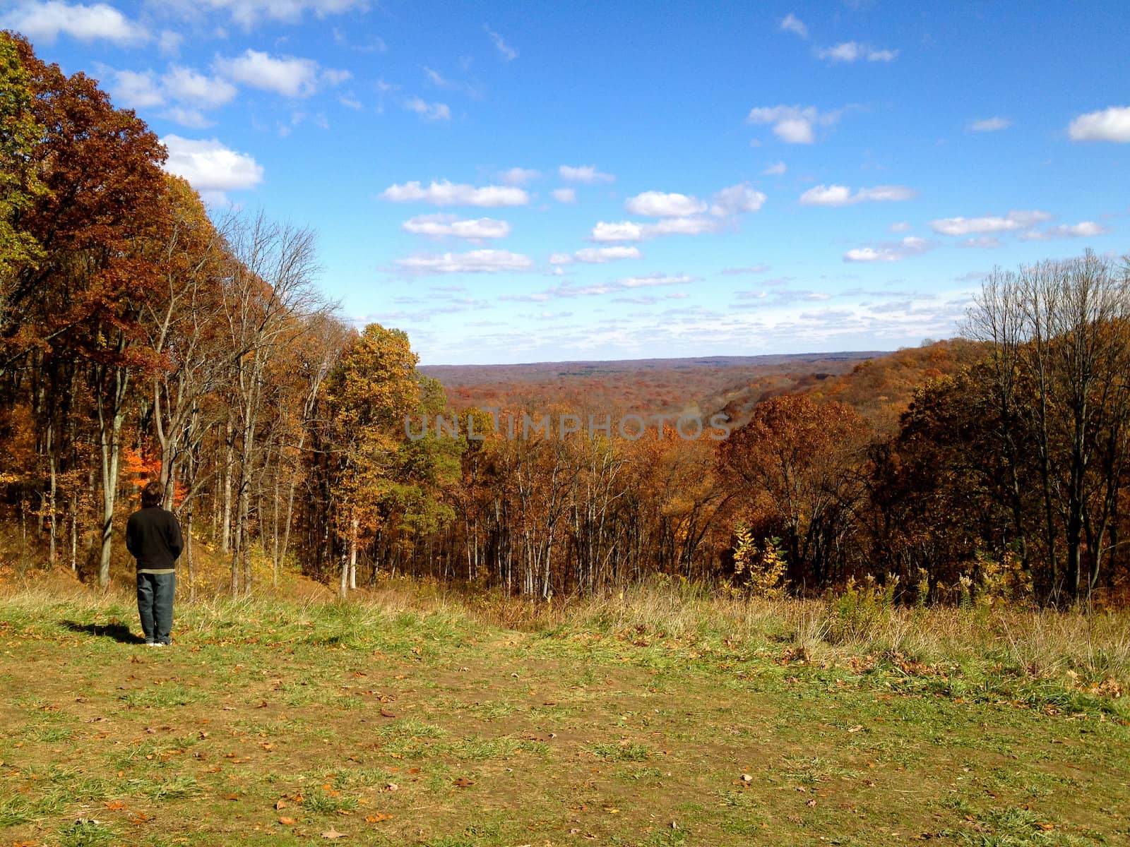 Teen looks at Brown County Landscape