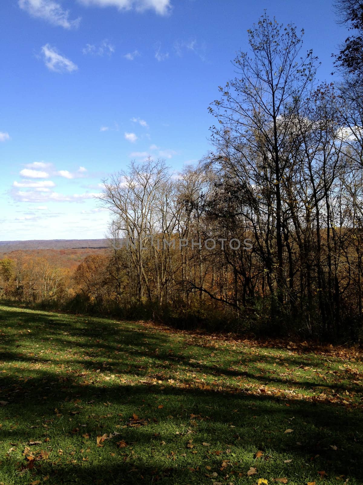 Brown County Landscape