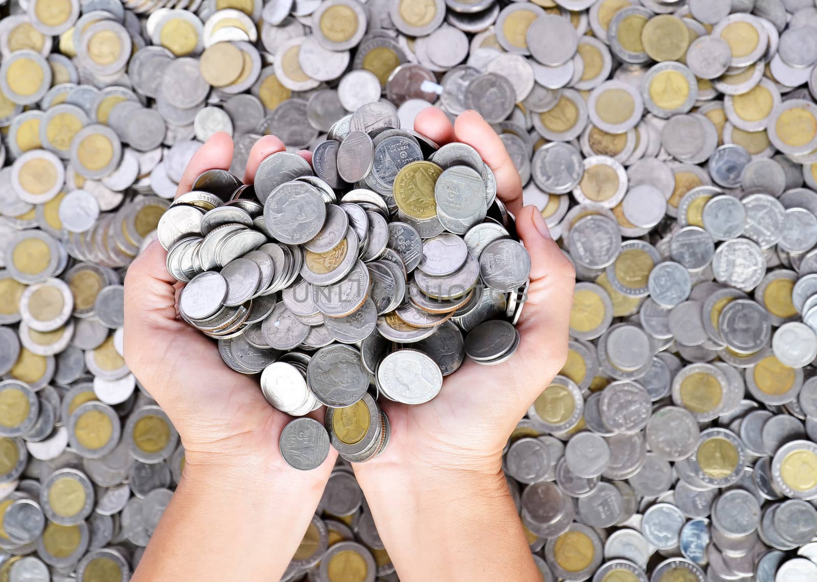 a lot of coins in the hands