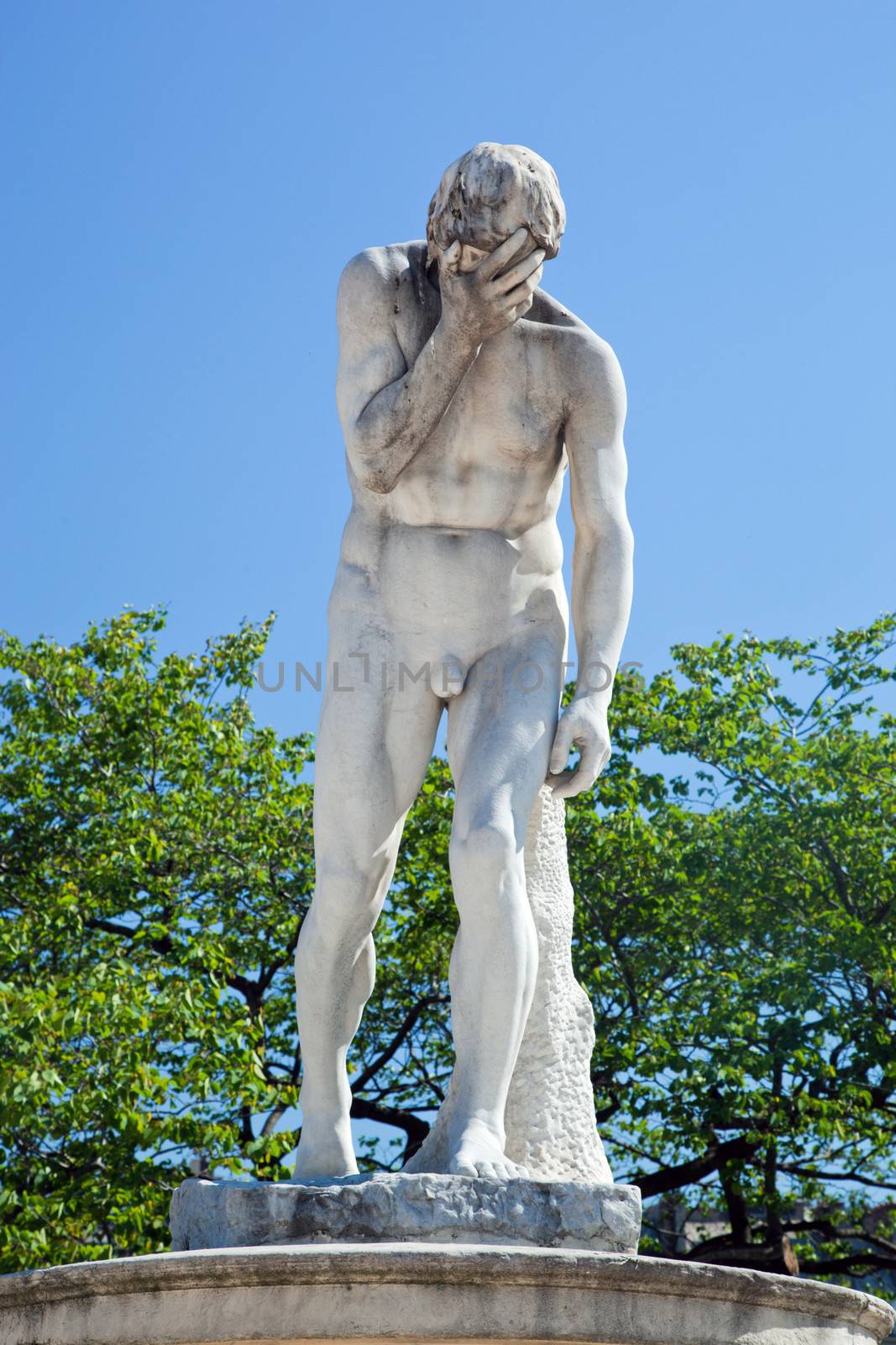 Statue in Tuileries Garden, near Louvre, Paris  by photocreo