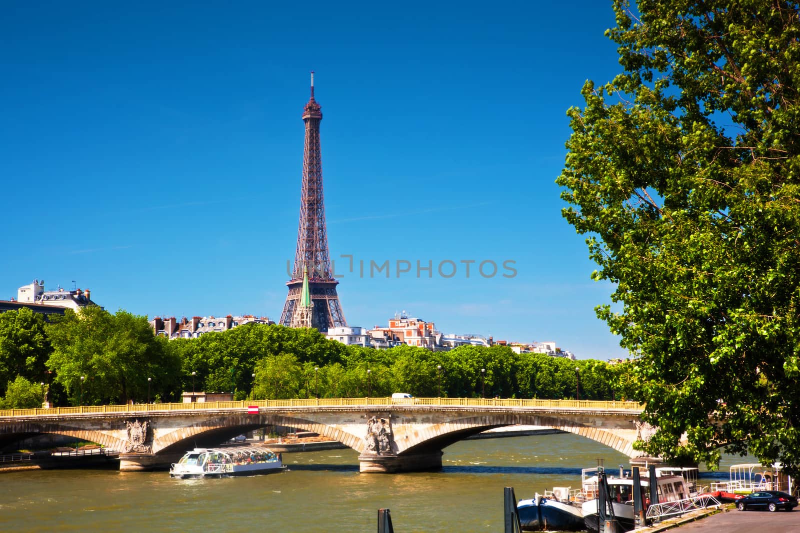 Eiffel Tower and bridge on Seine river in Paris, France. View from Alexandre Bridge at sunny day