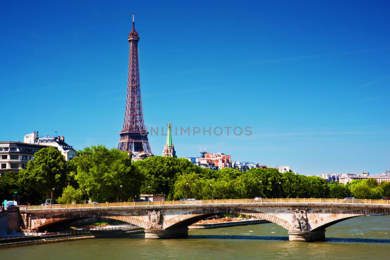 Eiffel Tower and bridge on Seine river in Paris, France. View from Alexandre Bridge at sunny day