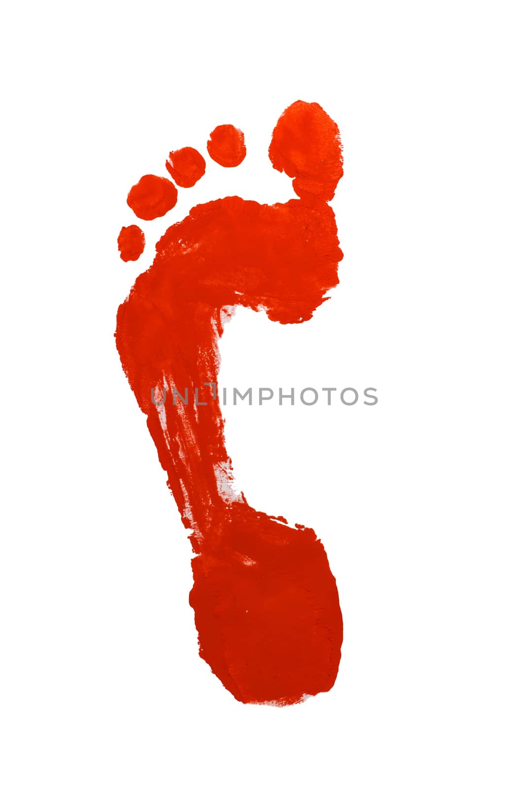 Prints Foot Red on Wite Background