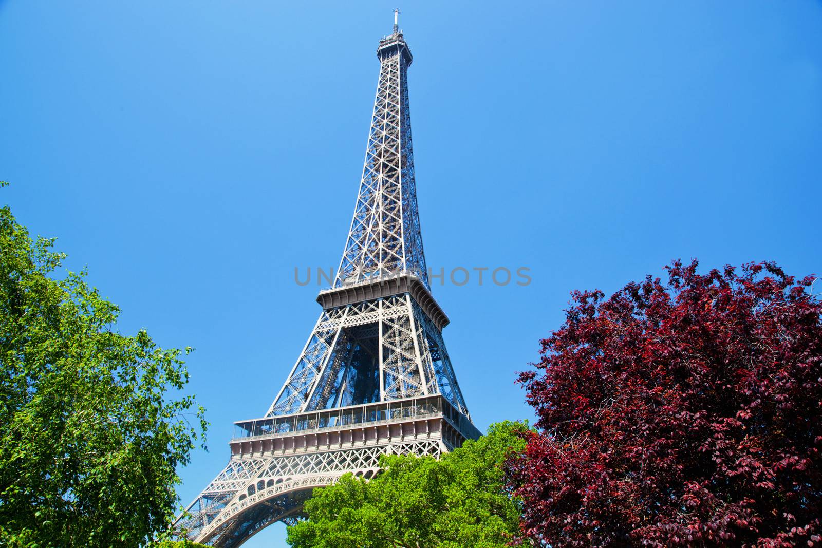 Eiffel Tower seen from Champ de Mars at a sunny summer day, Paris, France