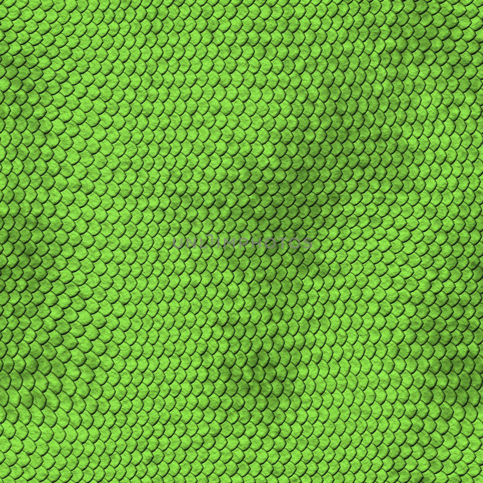 Green python snake skin texture background. by sfinks