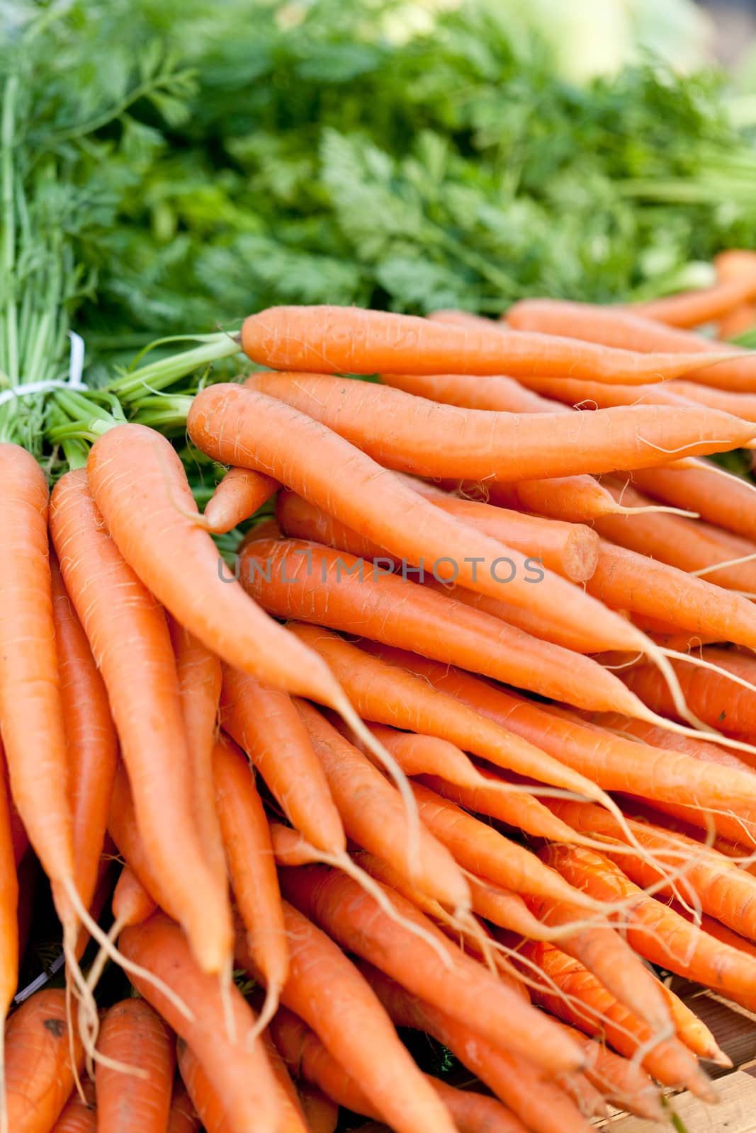 fresh orange carrot bundle on market in summer outdoor