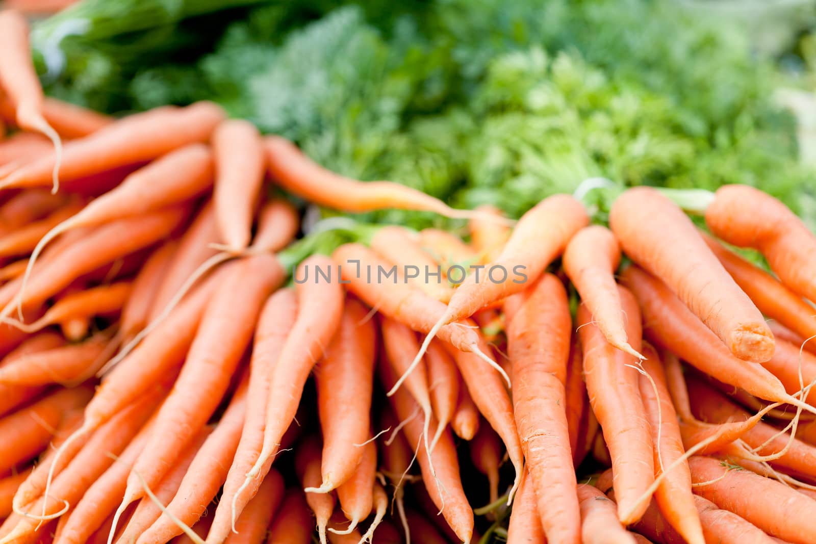 fresh orange carrot bundle on market in summer outdoor