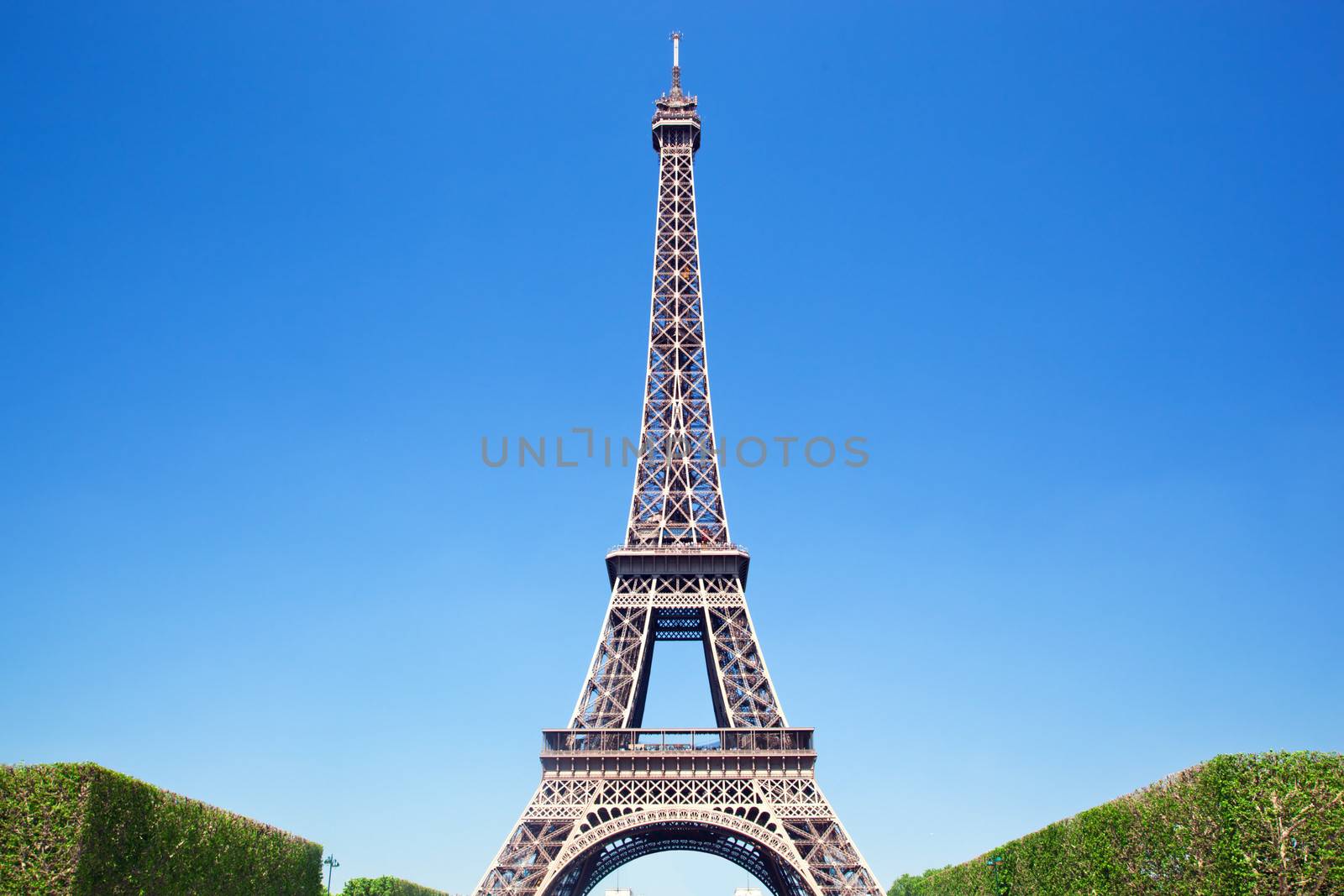 Eiffel Tower seen from Champ de Mars at a sunny summer day, Paris, France