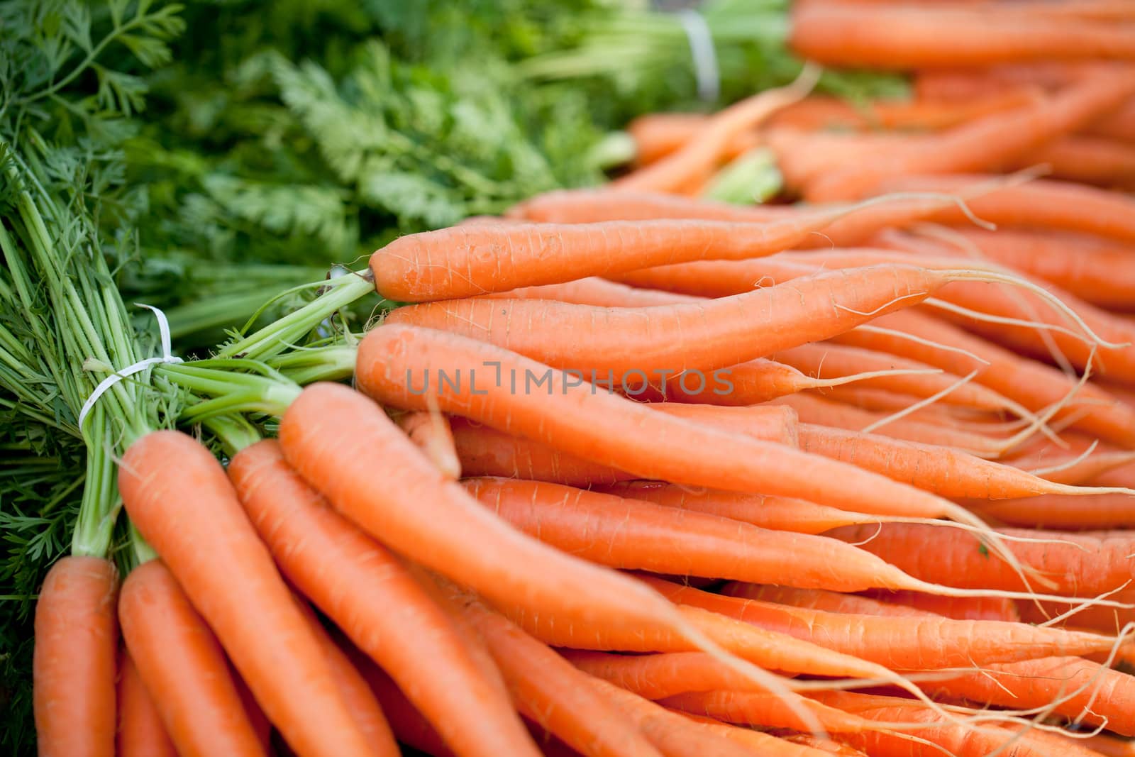 fresh orange carrot bundle on market in summer outdoor
