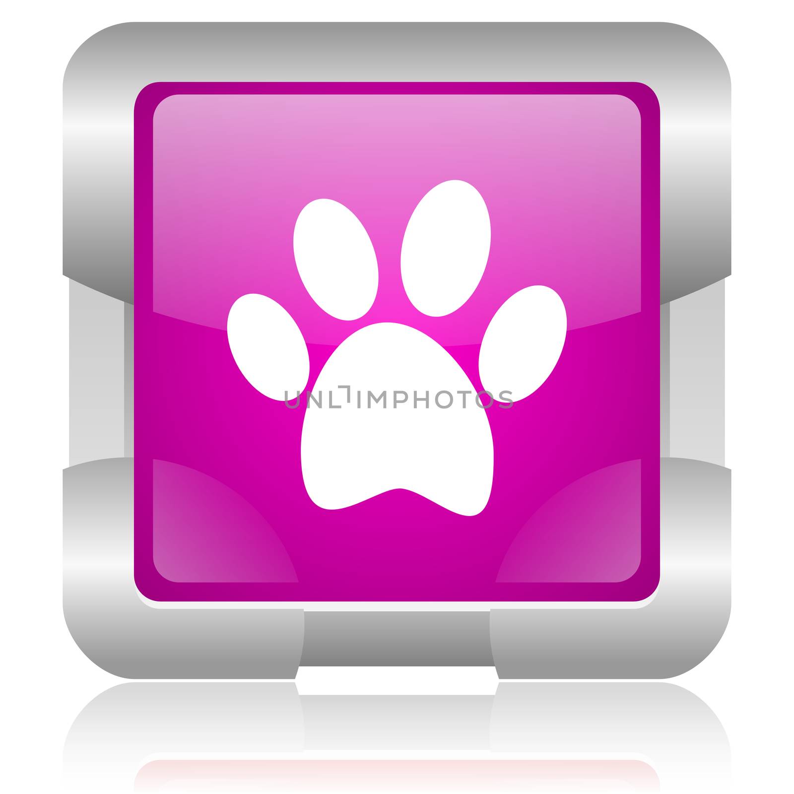 animal footprint pink square web glossy icon by alexwhite