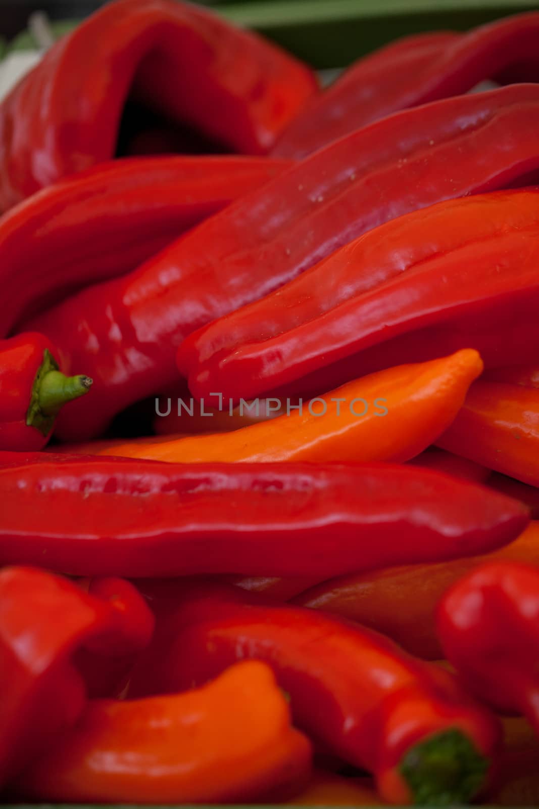 fresh healthy red yellow geen paprika pepper macro closeup market outdoor