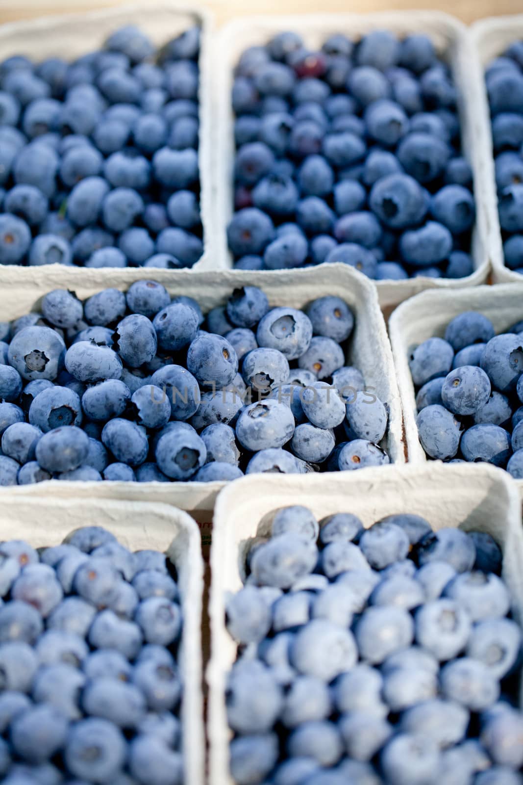 healthy fresh blueberries macro closeup on market outdoor summer