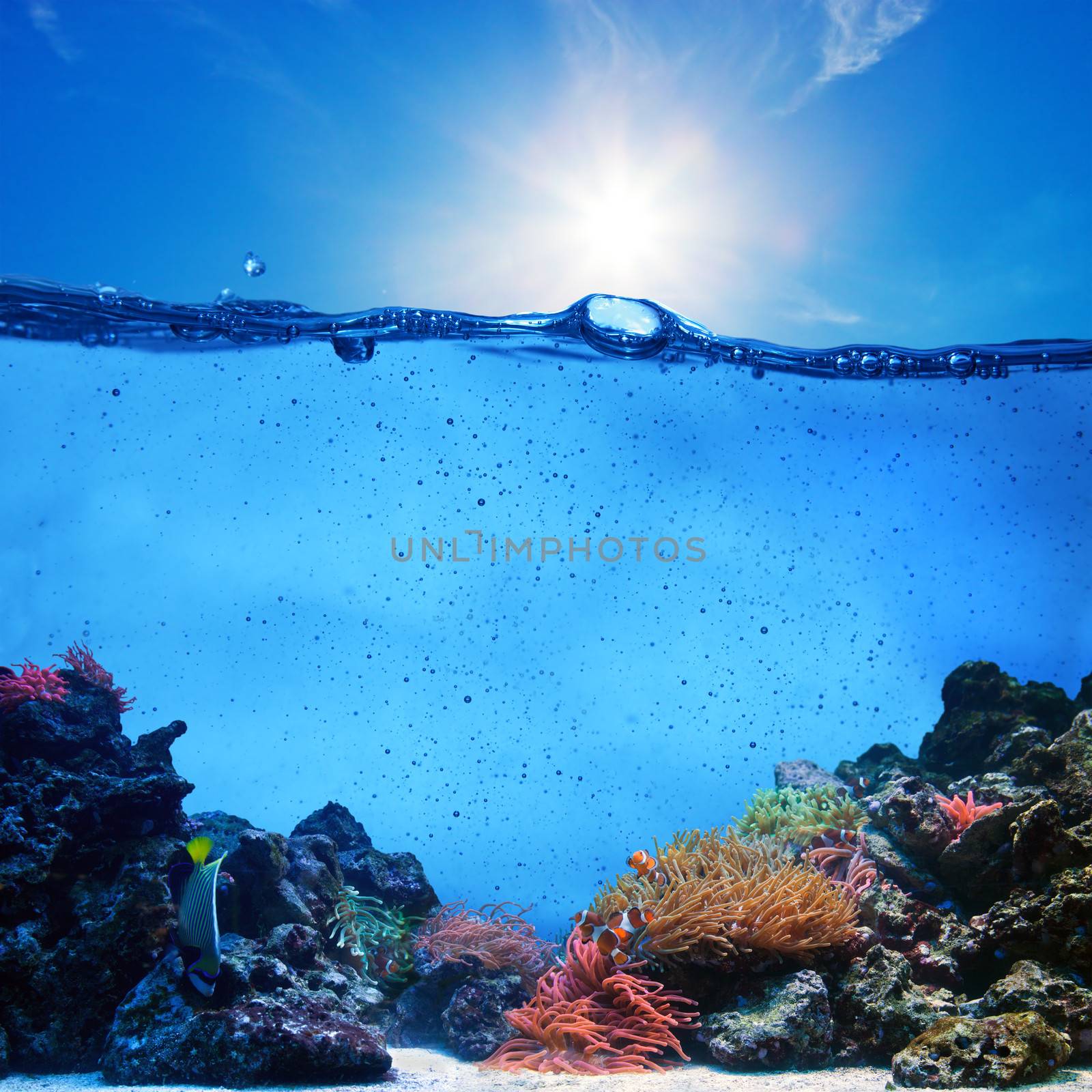 Underwater scene. Coral reef, blue sunny sky shining through clean water. Space underwater for you to fill or just use standalone. High res 