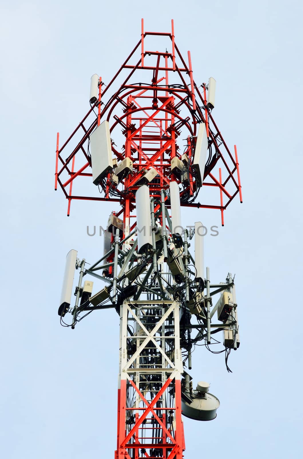 Mast cell signaling with blue sky, Thailand