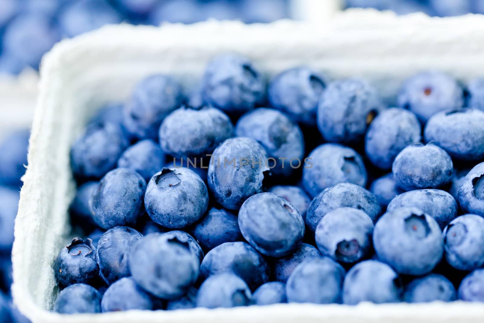healthy fresh blueberries macro closeup on market outdoor summer