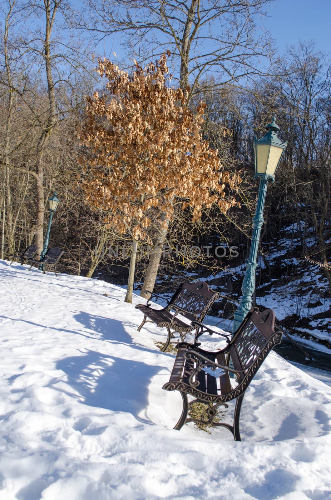 retro decorative benches with shadows and lighting lamp and oak tree dry leaves in park surrounded by snow in winter.