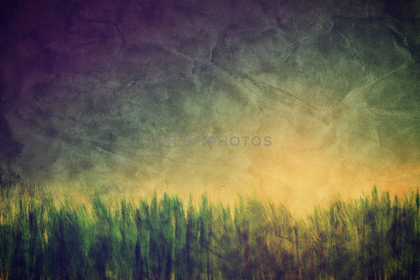 Vintage, retro image of nature landscape with grass and sunny sky. Grunge and creased canvas texture