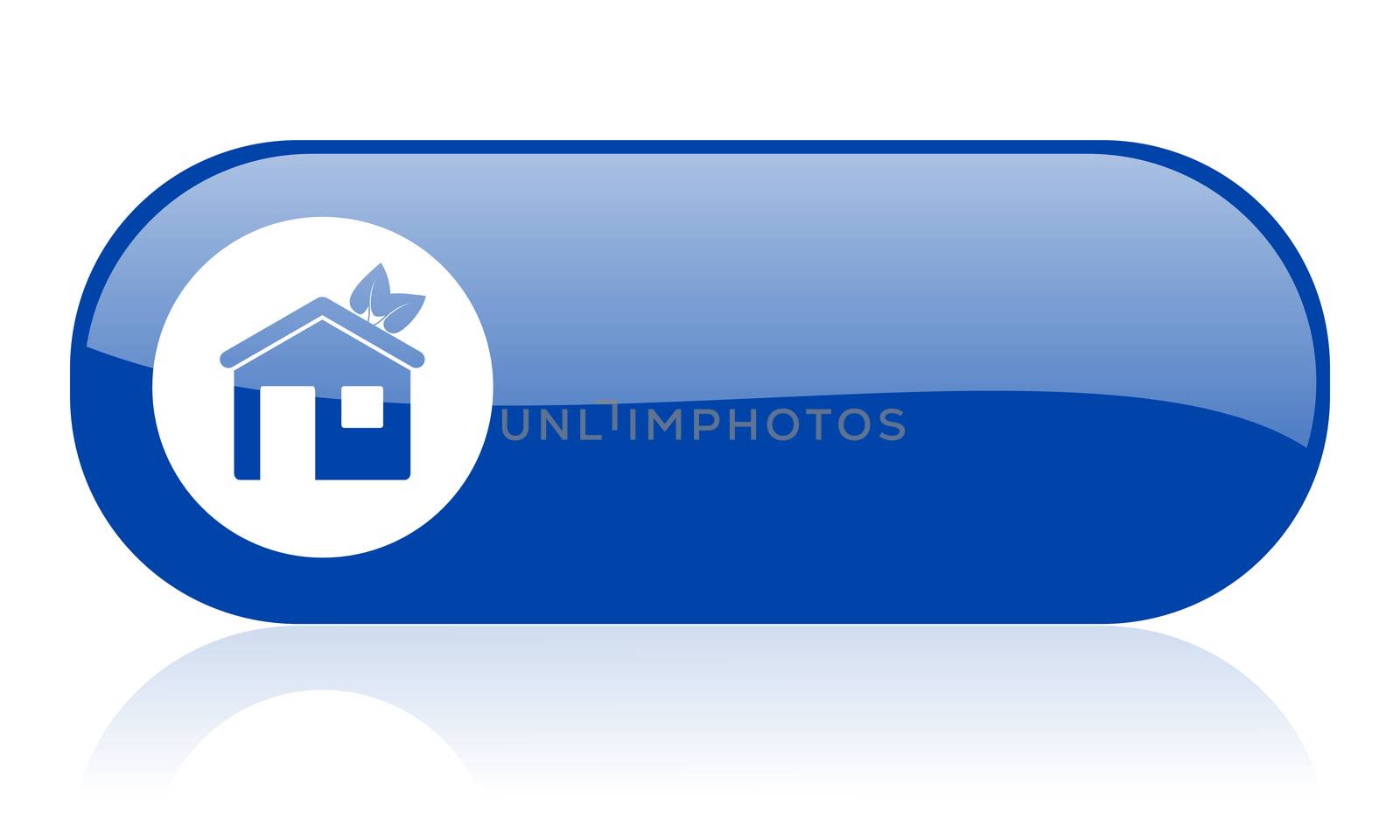 home blue web glossy icon