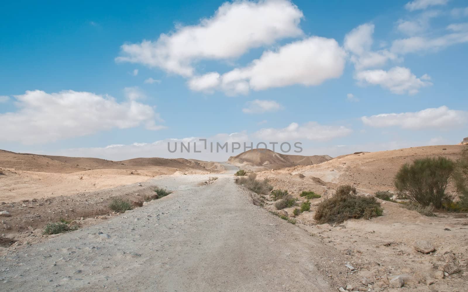 Road in the desert . Israel .