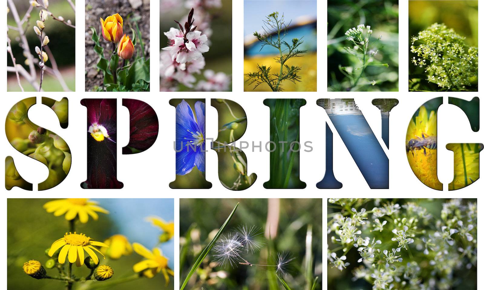 Beautiful collage of spring pictures isolated