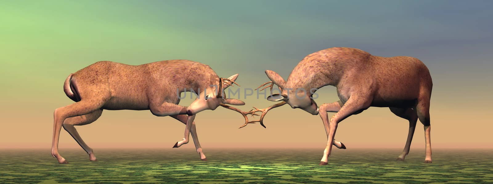 Bucks fighting - 3D render by Elenaphotos21