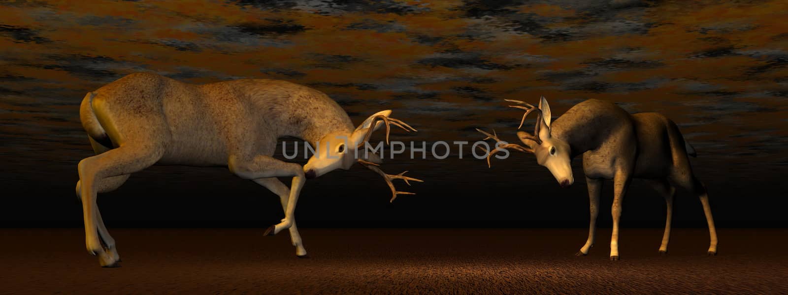 Fallow buck deer fighting one another in brown background light
