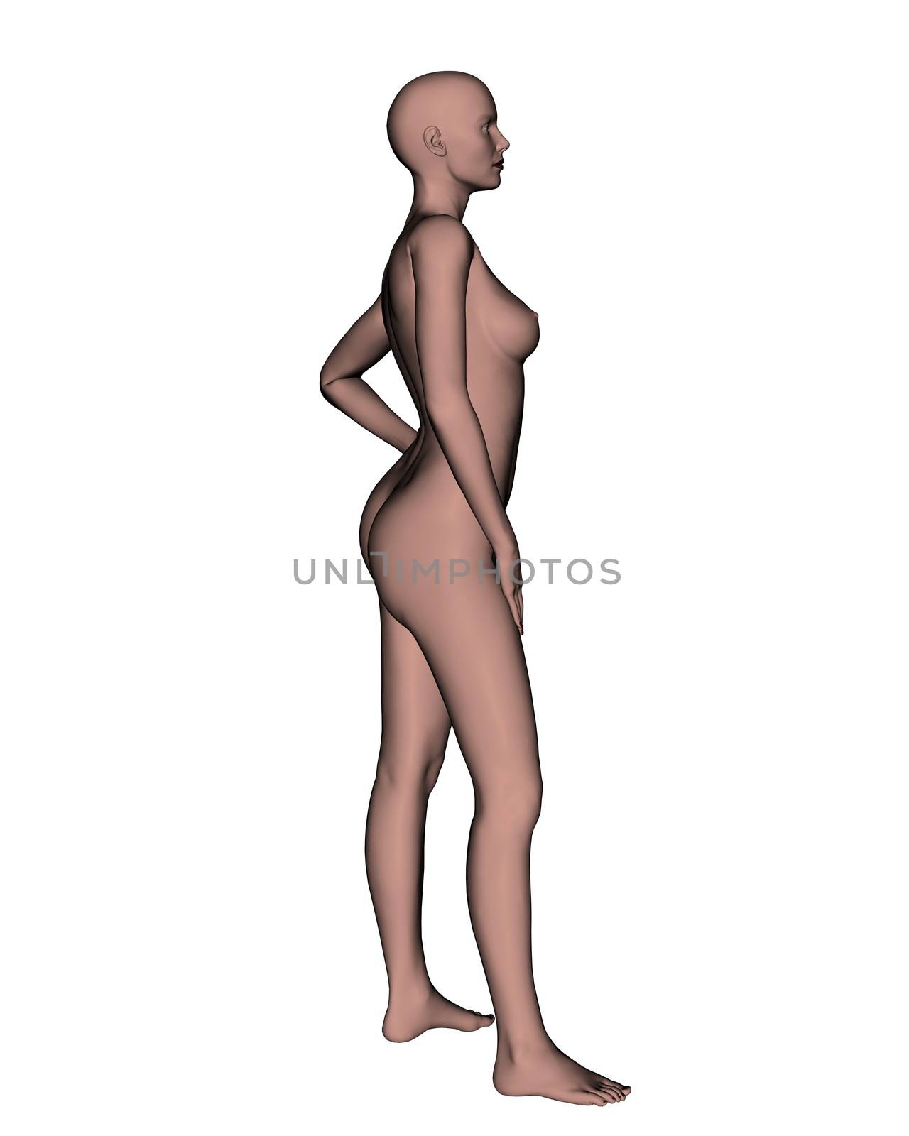 Side of a nude female in white background