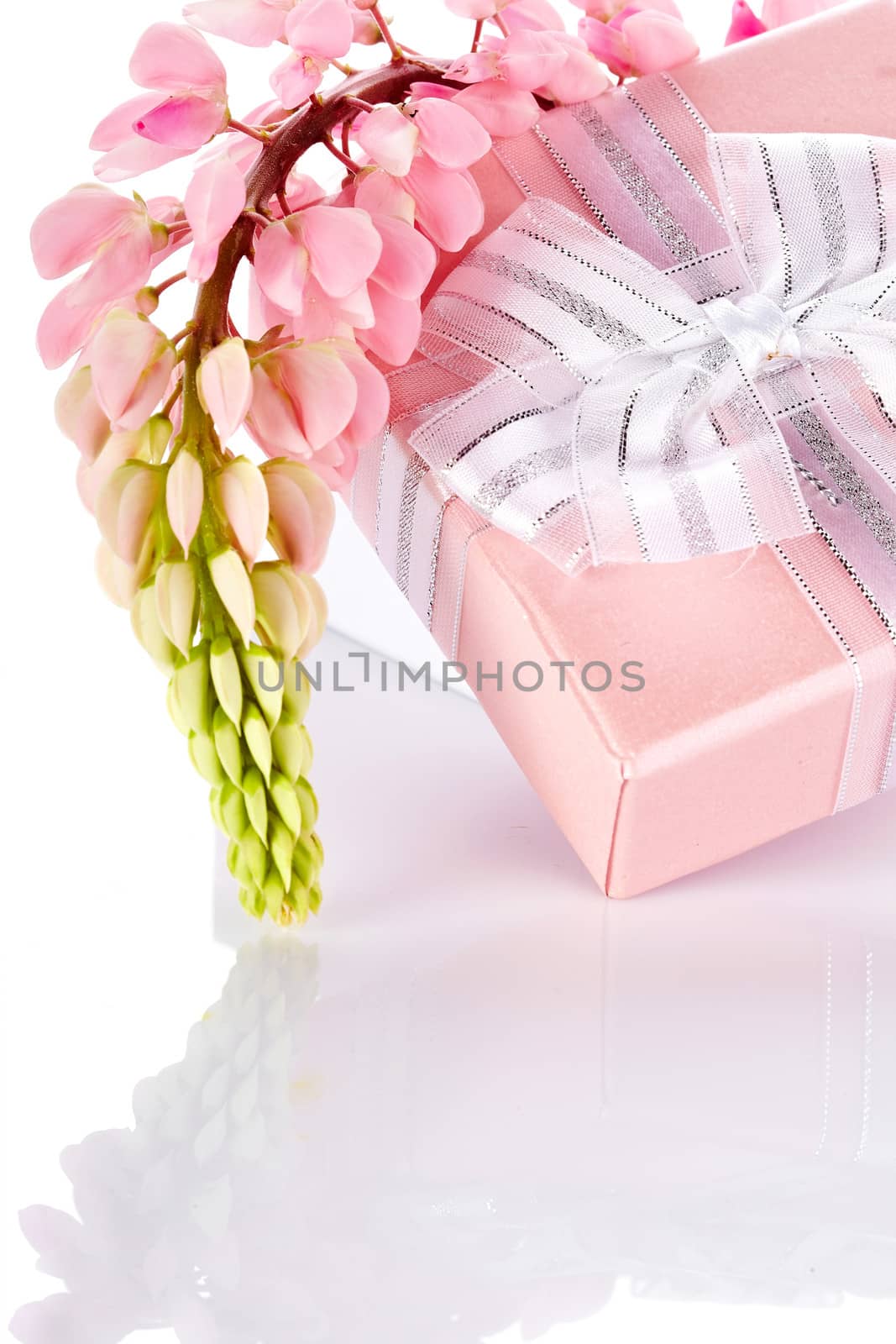 Lupine and gift box. Festive surprise. Box with a bow. Elegant gift. Gift box and lupine flowers.