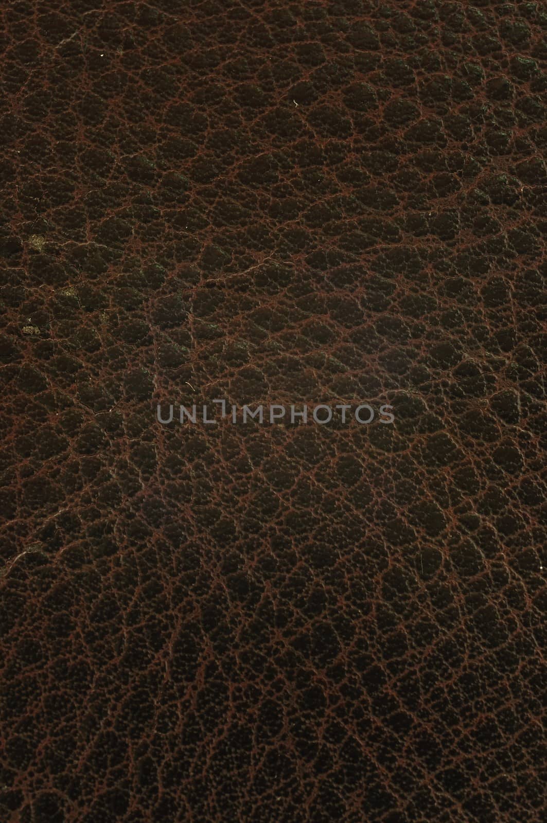 Grunge Texture background of Brown Cow leather