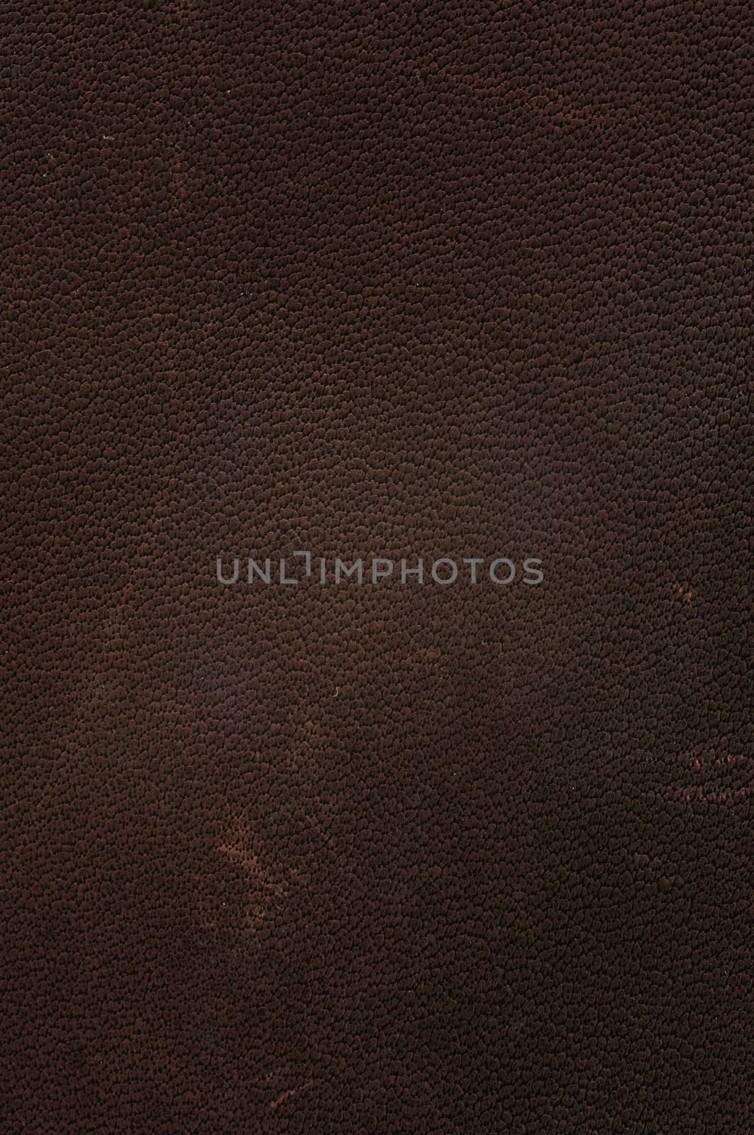 Grunge Texture background of Brown Cow leather