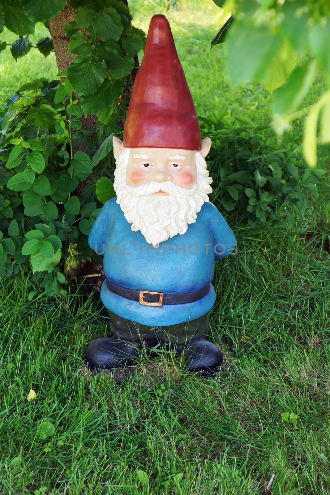 Garden gnome looking at camera by Mirage3