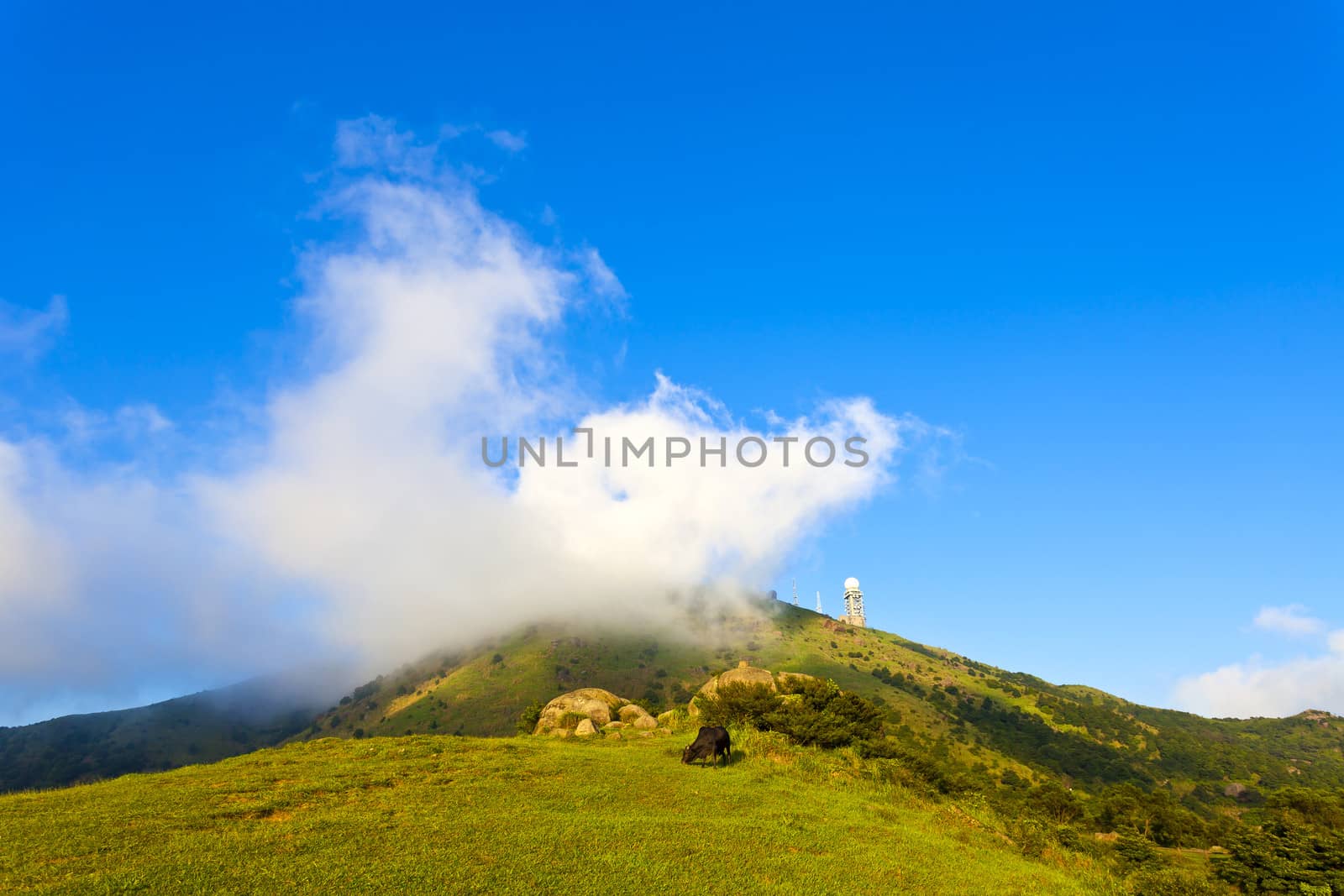 Mountain landscape in Hong Kong