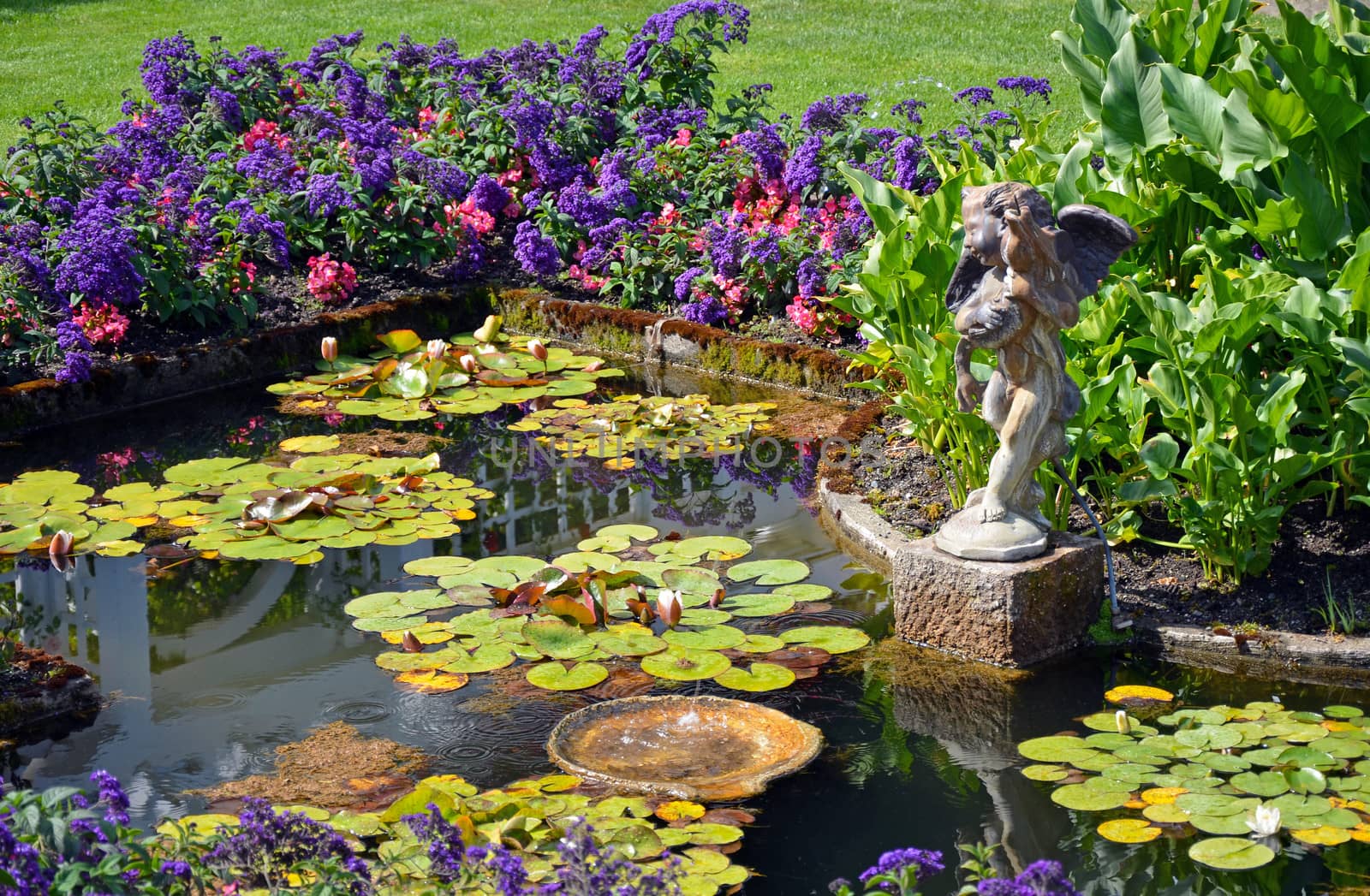 Colorful spring garden pond with cherub water fountain