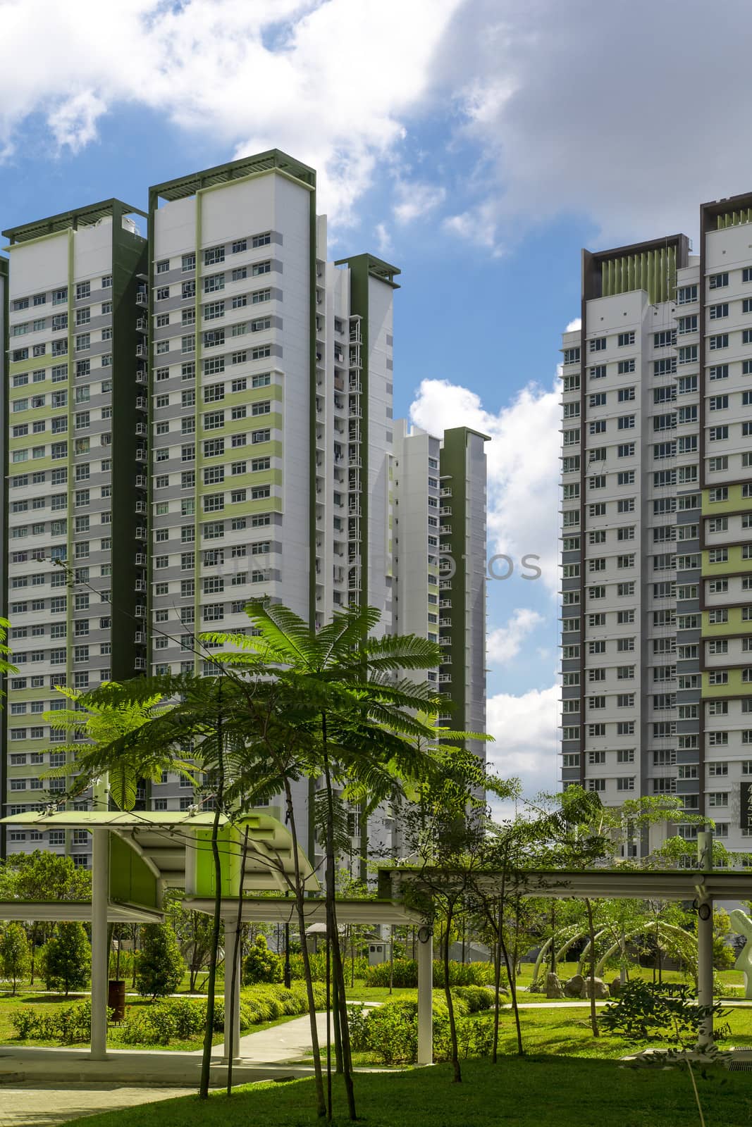 A park leading to a green estate in Singapore.
