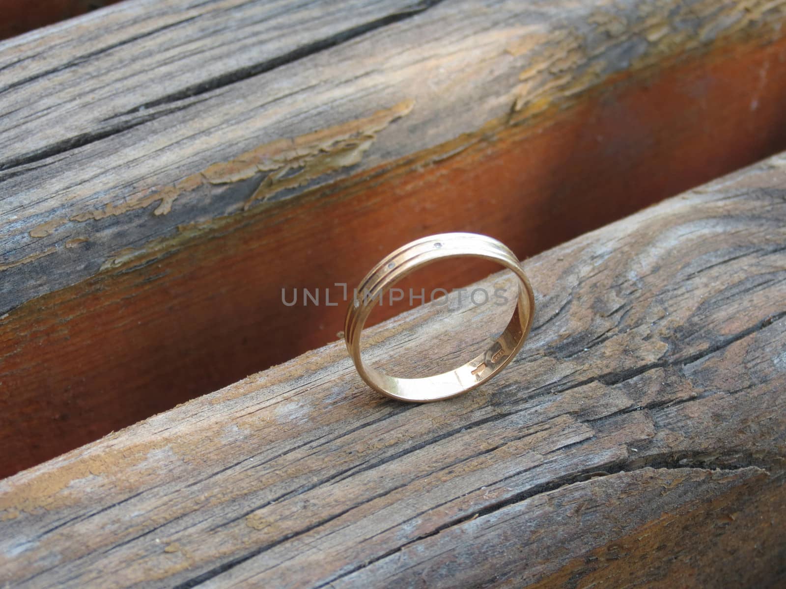   Gold ring stands on a wooden bench         