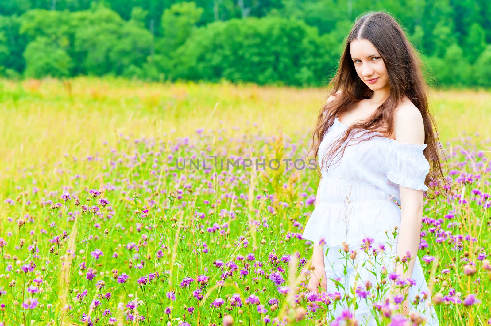 beautiful girl standing in a field with purple cornflowers