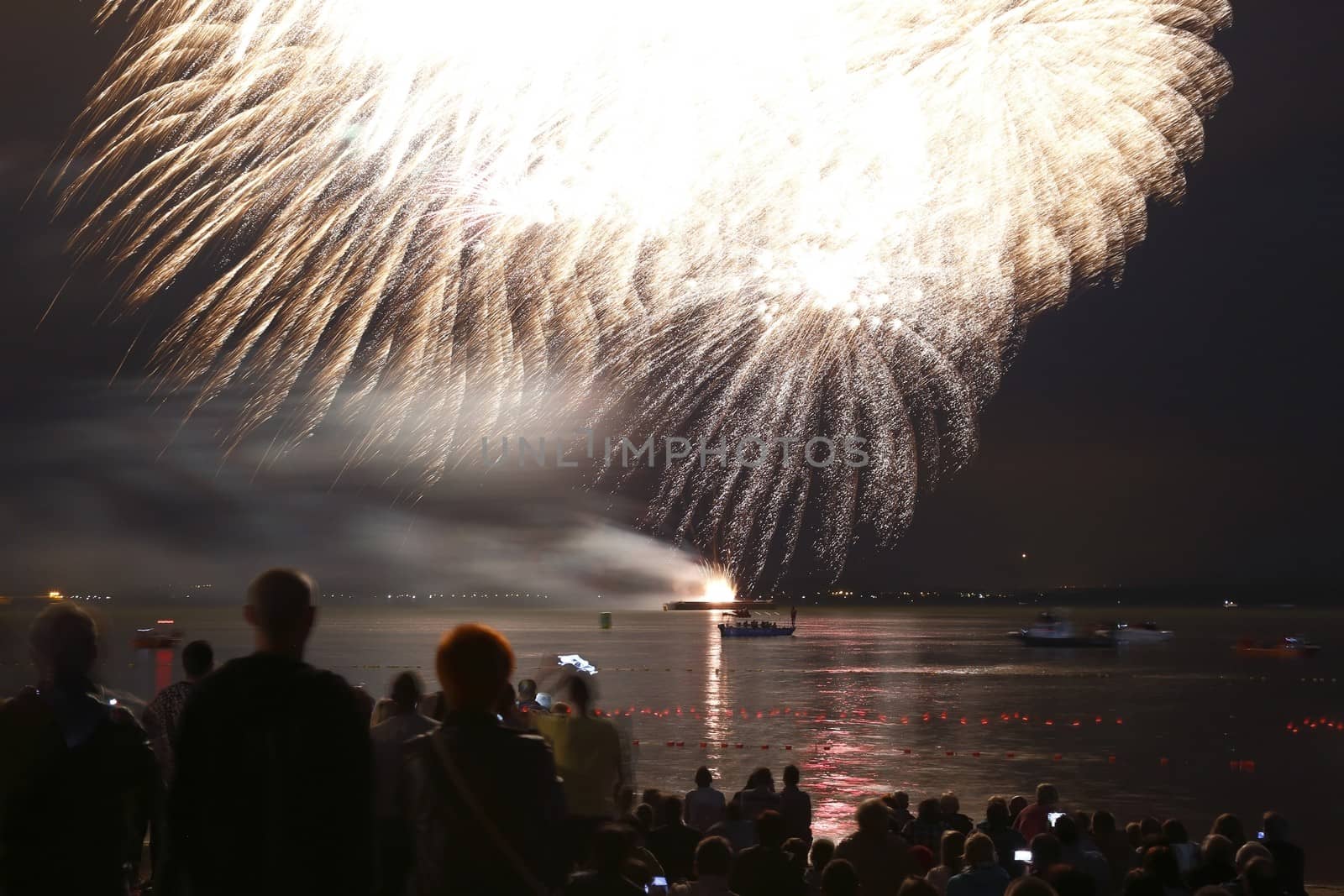 A big explosion of the fireworks in the night