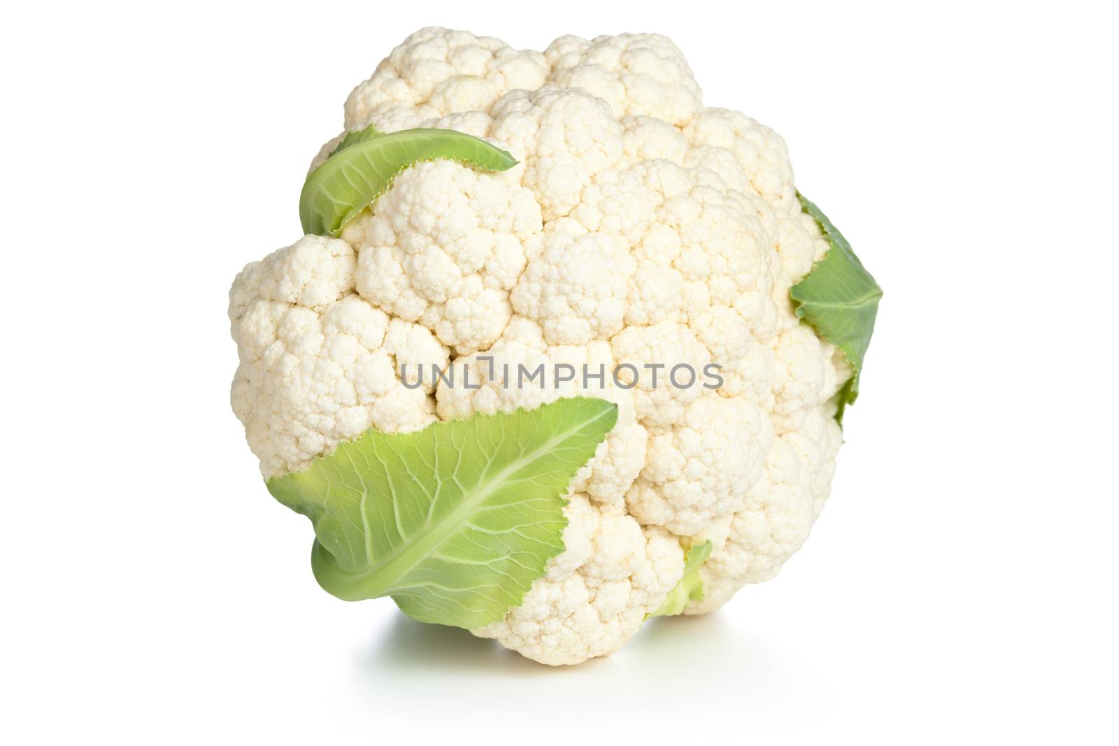 Cauliflower on white background. Studio macro shot