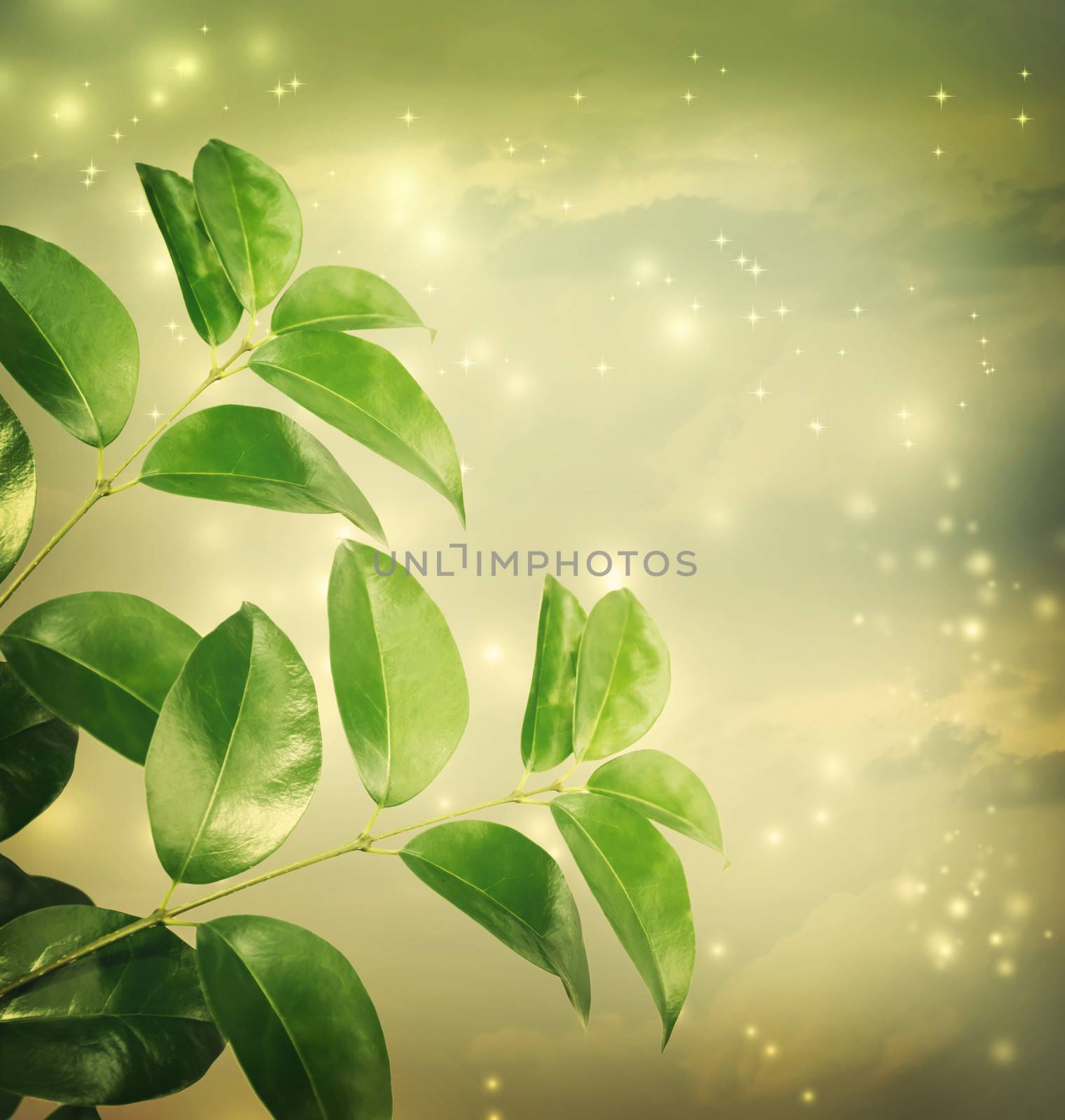 Leaves with green lights Background  by melpomene