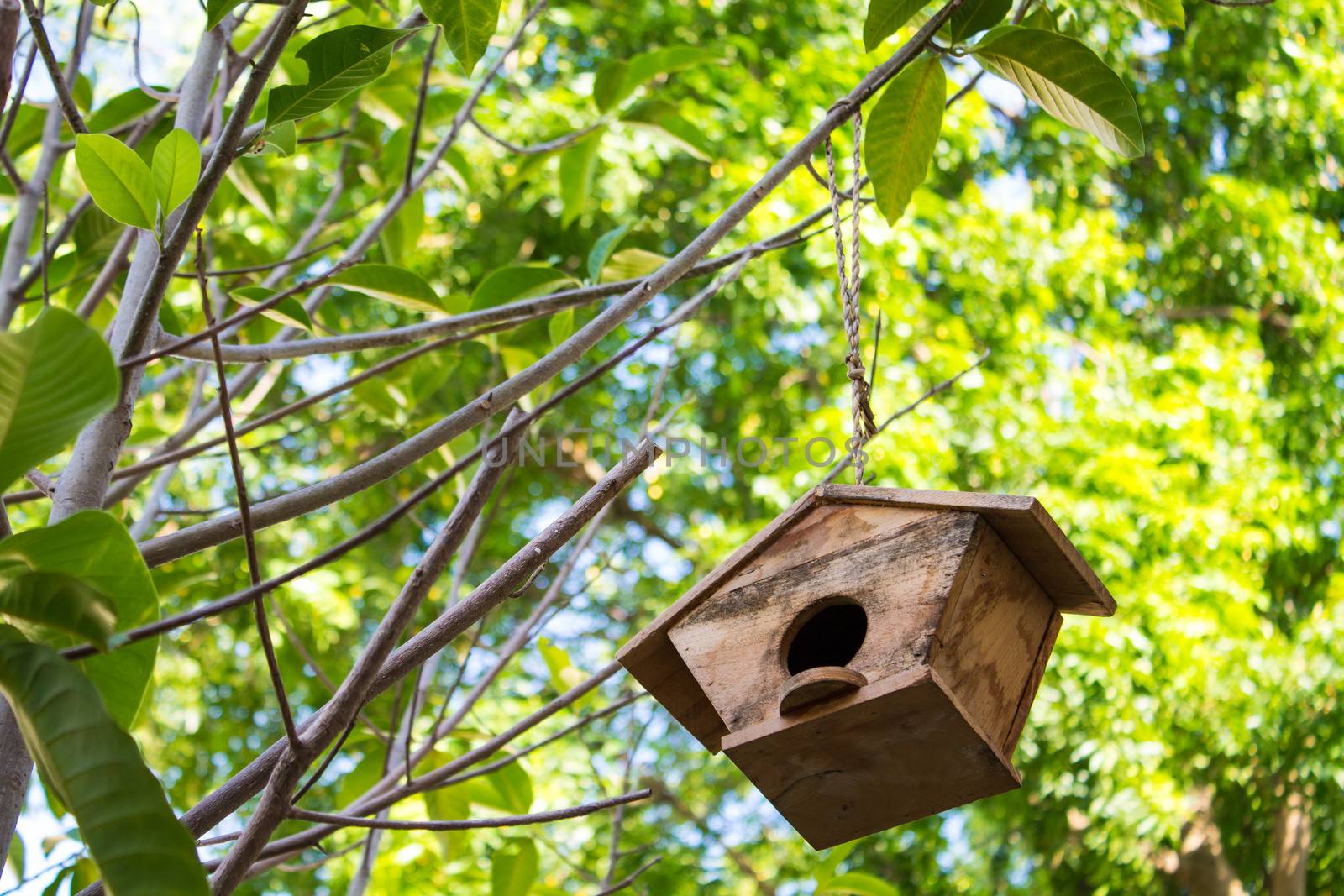 A birdhouse nestled on tree