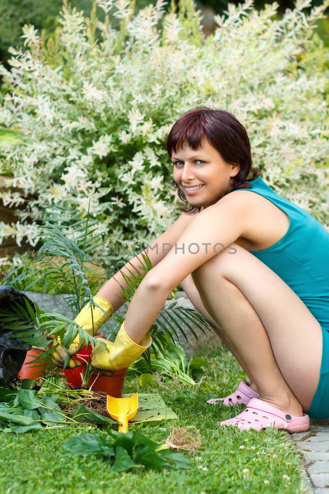 happy smiling middle age woman gardening, offsets the flowers in a pot