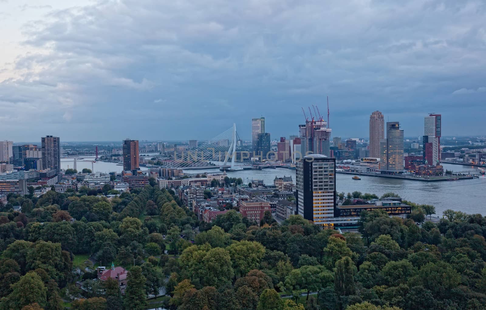 View of Rotterdam from height of bird's flight at night