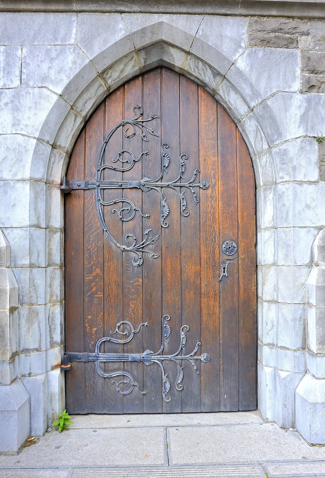 elegant vintage door
