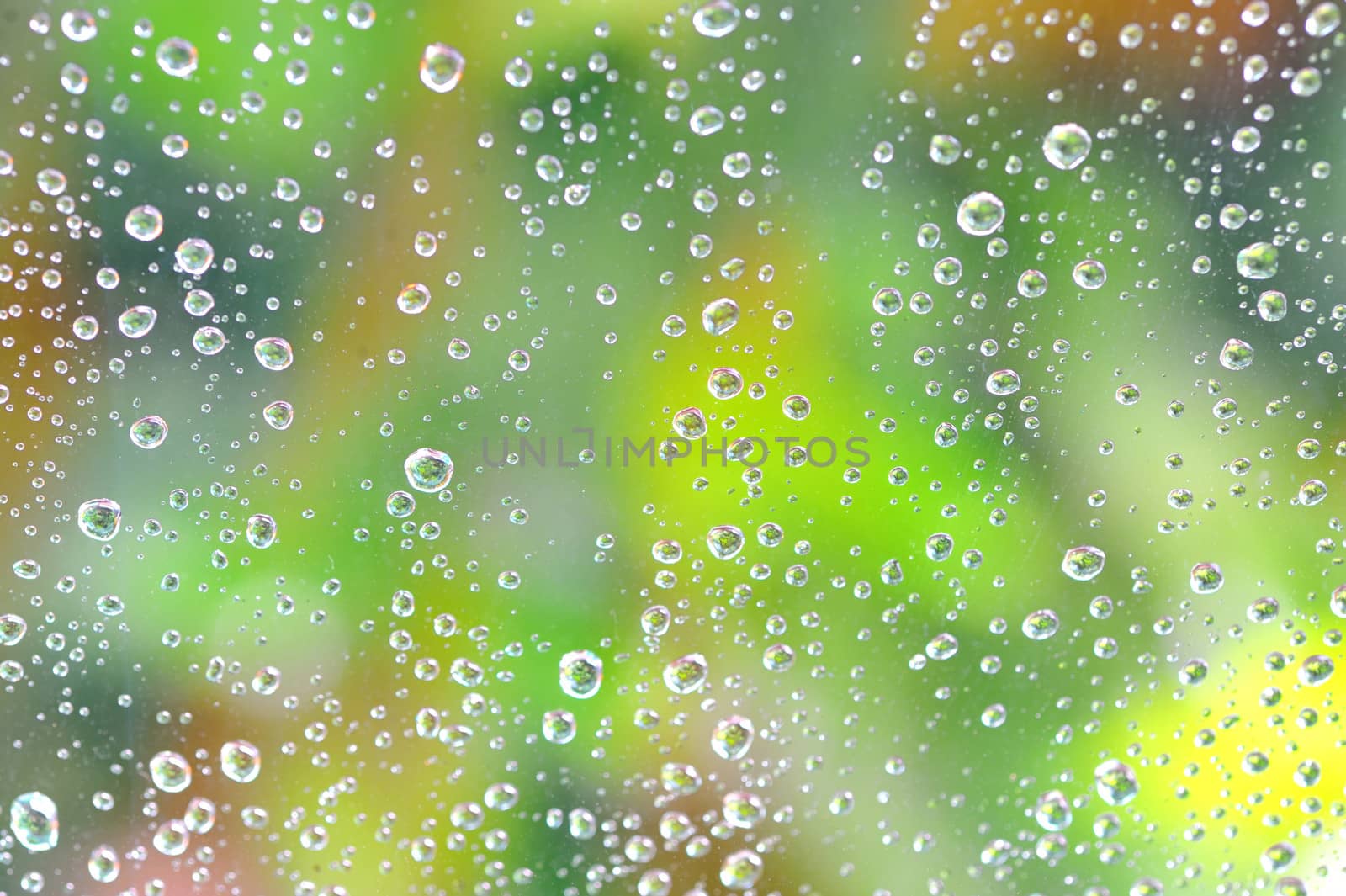 Drops of rain on the glass 