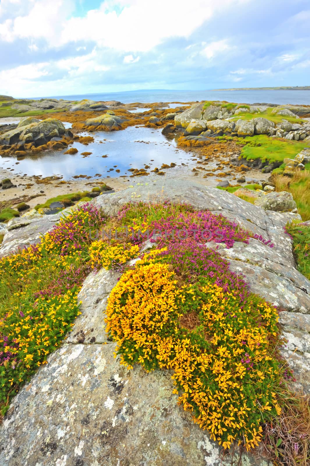 irish landscape