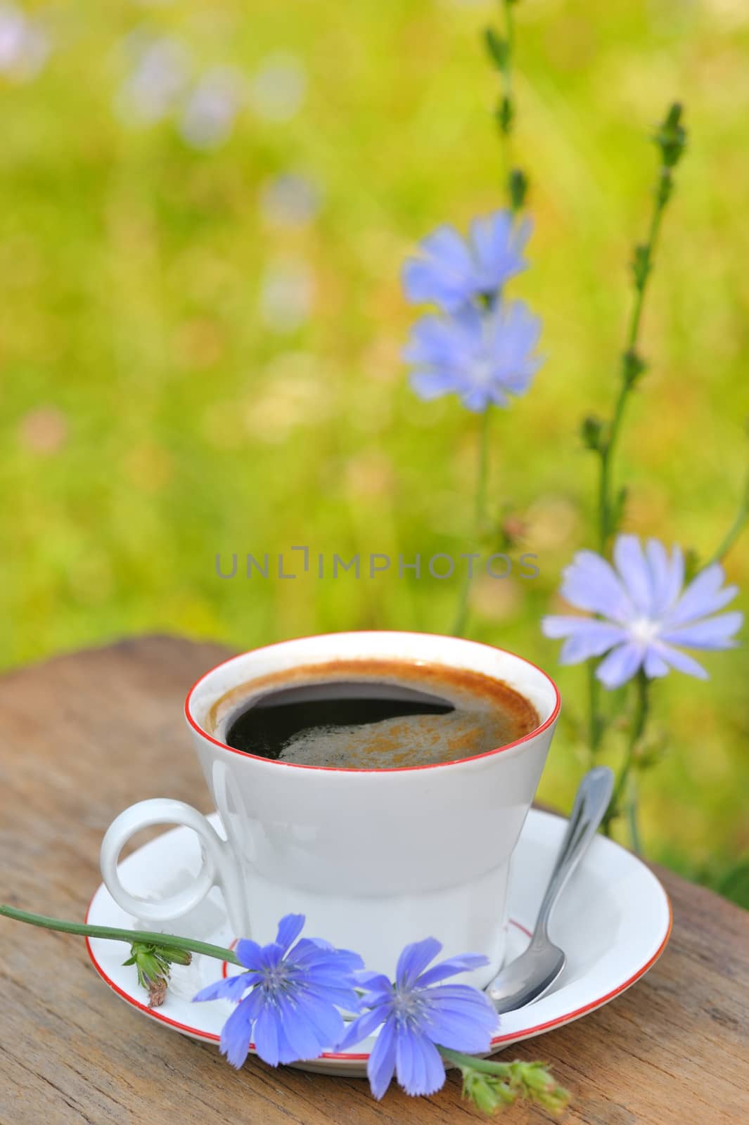 Chicory hot drink and a flower