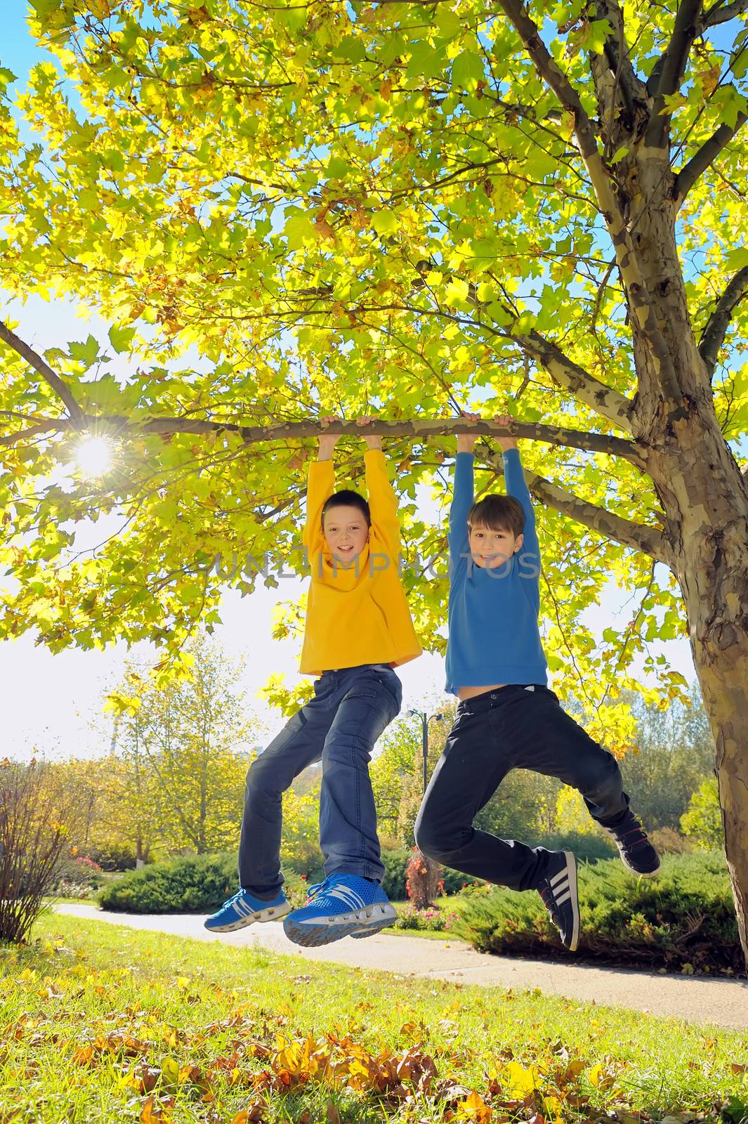 boys hanging from branch of tree