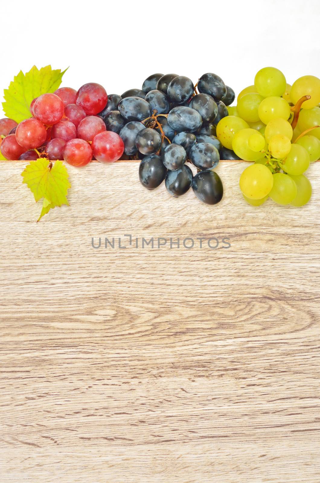 types of grapes on wood by mady70