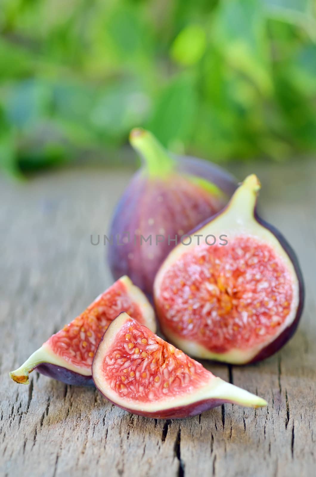 Ripe fresh fig by mady70