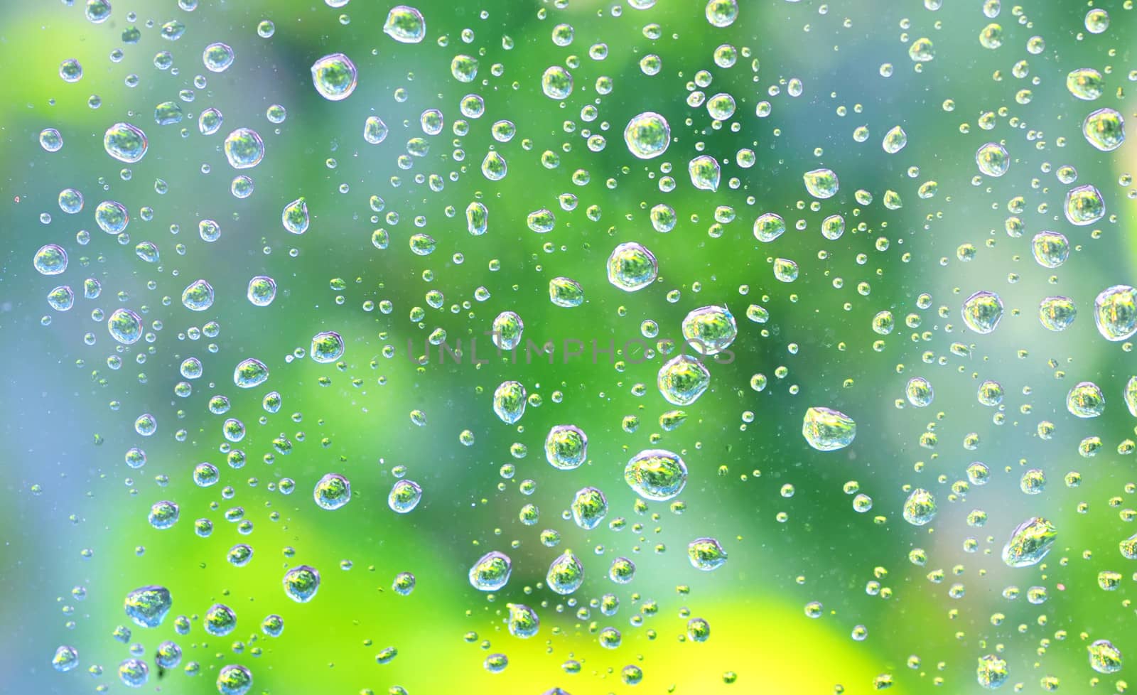 Drops of rain on the glass 